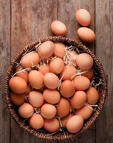 Canasta de huevos Corpoagro nutrición animal