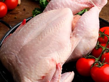 Pollo listo para cocinar nutrición animal